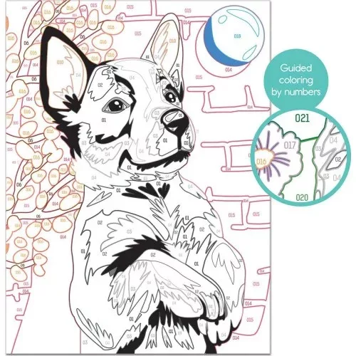 Festés szám szerint- husky 131