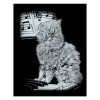 Mammut Macska a zongorán, Ezüst képkarcoló