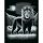 Mammut Oroszlán, Ezüst képkarcoló