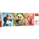 Trefl Panoráma Puzzle 500 db-os Kutya divatbemutató (29517)