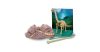 Régészeti játék dobozban Brachiosaurus 4M