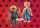 Miraculous: Adrien & Fekete Macska 71337