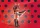 Miraculous: Rena Rouge 71339
