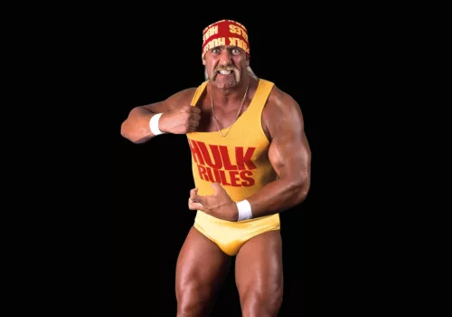 WWE Hulk Hogan  71958