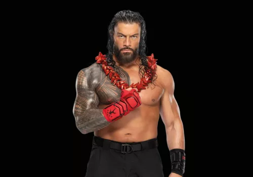 WWE Roman Reigns 71960