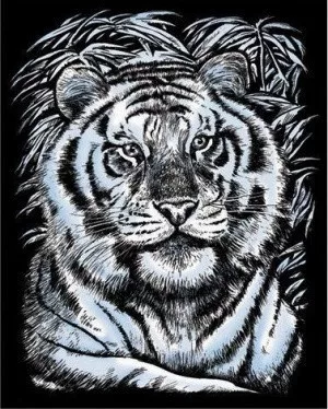 Mammut Tiis, Ezüst képkarcoló (8251017)