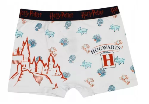 Harry Potter Castle Blue gyerek boxeralsó 2 darab/csomag  6 - 8 év / 116 - 128 cm