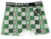 Harry Potter House Pride gyerek boxeralsó 2 darab/csomag 9 - 10 év / 134 - 140 cm