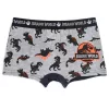 Jurassic World Danger Green gyerek boxeralsó 2 darab/csomag 4 - 5 év / 104 - 110 cm