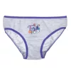 Disney Jégvarázs Rainbow gyerek fehérnemű, bugyi 3 darab/csomag 3 - 4 év / 98 - 104 cm