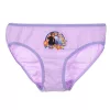 Disney Jégvarázs Rainbow gyerek fehérnemű, bugyi 3 darab/csomag 5 - 6 év / 110 - 116 cm