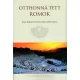 Otthonná tett romok