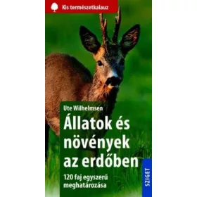 Állatok és növények az erdőben