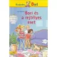 Bori és a rejtélyes eset - Barátnőm, Bori