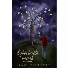 Égből hulló versek