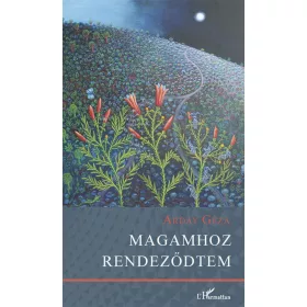 Magamhoz rendeződtem