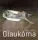 Glaukóma