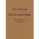 Csillagromok - Válogatott versek