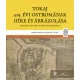 Tokaj 1565. évi ostromának híre és ábrázolása