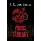 Vörös Sárkány
