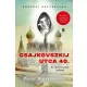 Csajkovszkij utca 40.