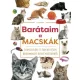 Barátaim, a macskák