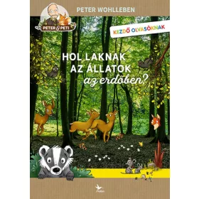 Hol laknak az állatok az erdőben?