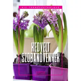 Kedvelt szobanövények