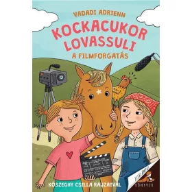 Kockacukor lovassuli - A filmforgatás