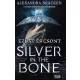 Silver in the Bone - Ezüst és csont