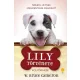 Egy kutya négy élete - Lily története