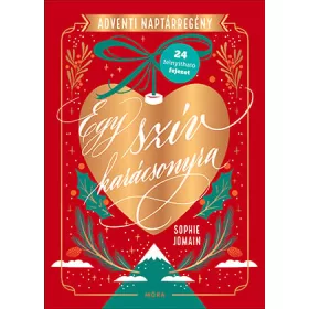 Egy szív karácsonyra - Adventi naptárregény