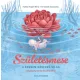 Születésmese