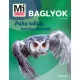 Mi MICSODA Baglyok