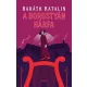 A borostyán hárfa