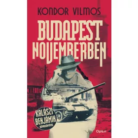 Budapest Novemberben