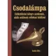 Csodalámpa - Célkitűzési könyv azoknak, akik utálnak célokat kitűzni