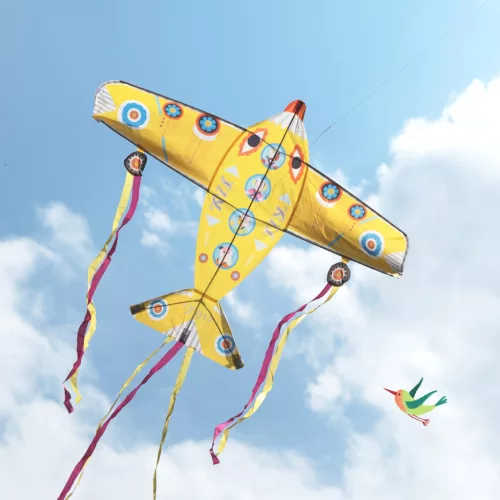 Djeco 2161 Sárkány - Óriás repulő - Maxi Plane