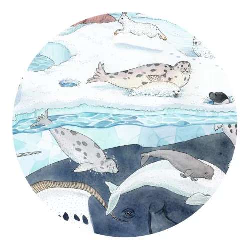 Djeco DJ07294 Formadobozos puzzle - Élet a sarkvidéken, 54 db-os - Polar softness