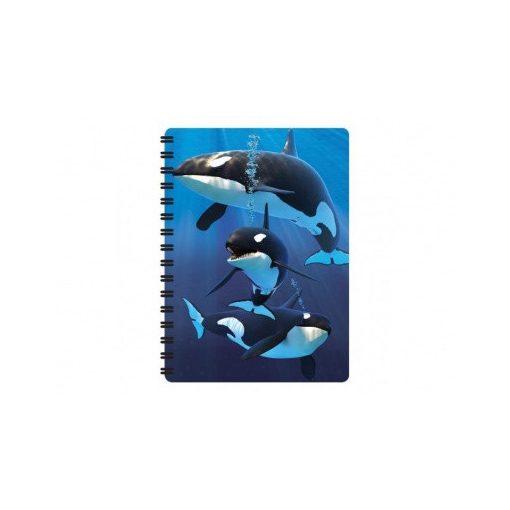 3D notesz - Kardszárnyú delfinek