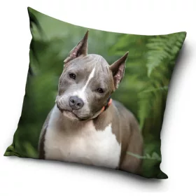 Kutyás Pit Bull Terrier párnahuzat 40x40 cm