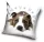 Kutyás Pit Bull Terrier Cute párnahuzat 40x40 cm