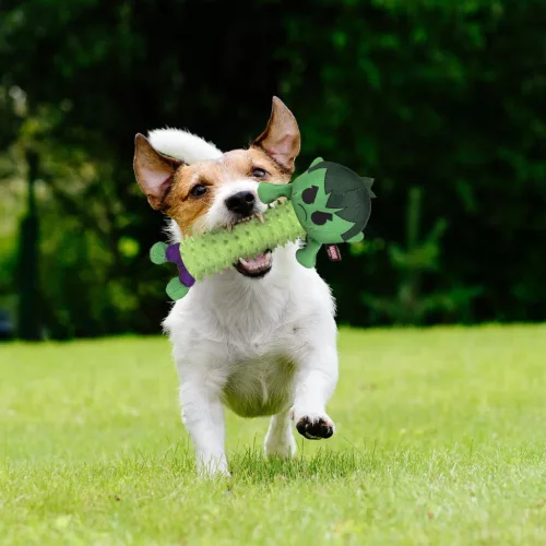 Bosszúállók Hulk kutyajáték