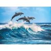 Clementoni 500 db-os puzzle - Játékos delfinek