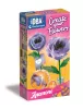 Virágkészítő szett Anemone 2 db-os Clementoni