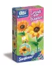 Virágkészítő szett Sunflowers 2 db-os Clementoni