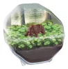 Clementoni Mini Bear terrárium