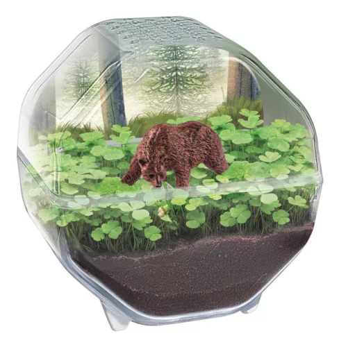 Clementoni Mini Bear terrárium