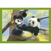 Clementoni Állatos Baby Cuddles 4 az 1-ben puzzle