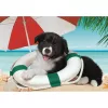 Clementoni Kutyás Beach 104 db-os puzzle